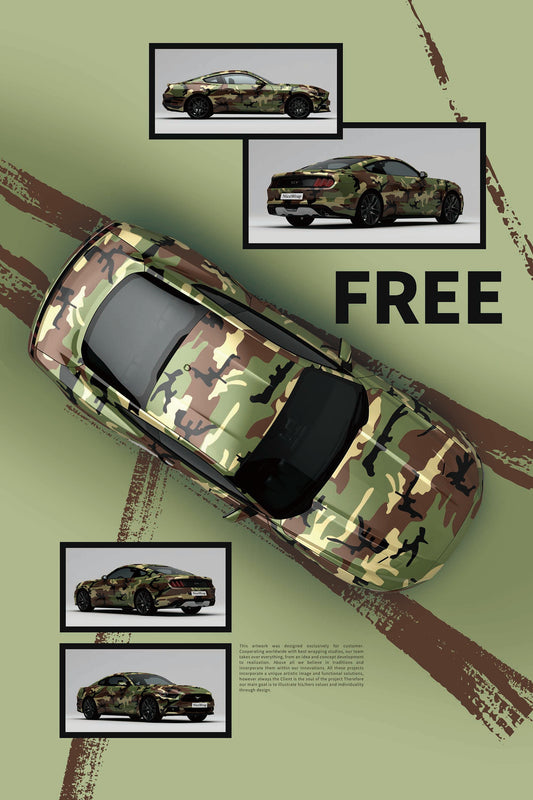 Ford Mustang Camouflage customization